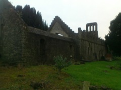 Ruins of the old Church #2