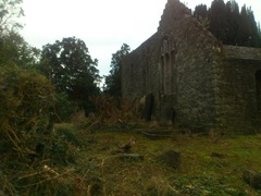 Ruins of the old Church #1